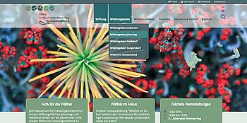 Neue WebSite von Quintact: Stiftung Naturlandschaften Brandenburg